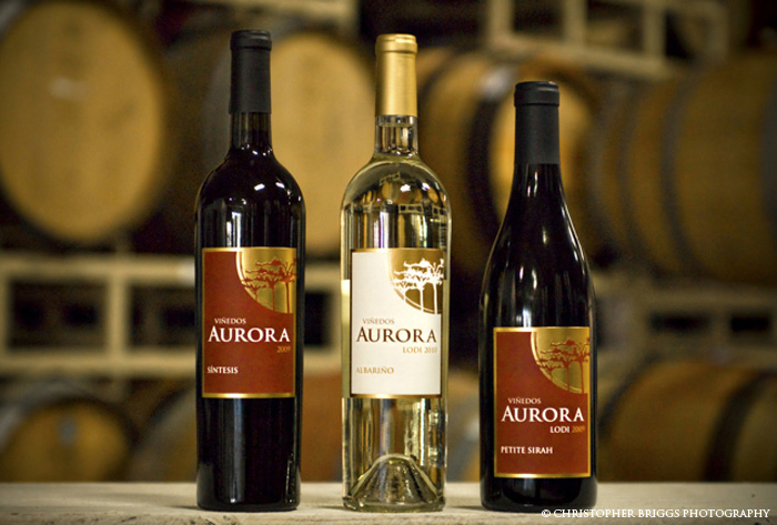 Viñedos Aurora wine logo and label designed by Julie Mendez. Photography by Christopher Briggs.