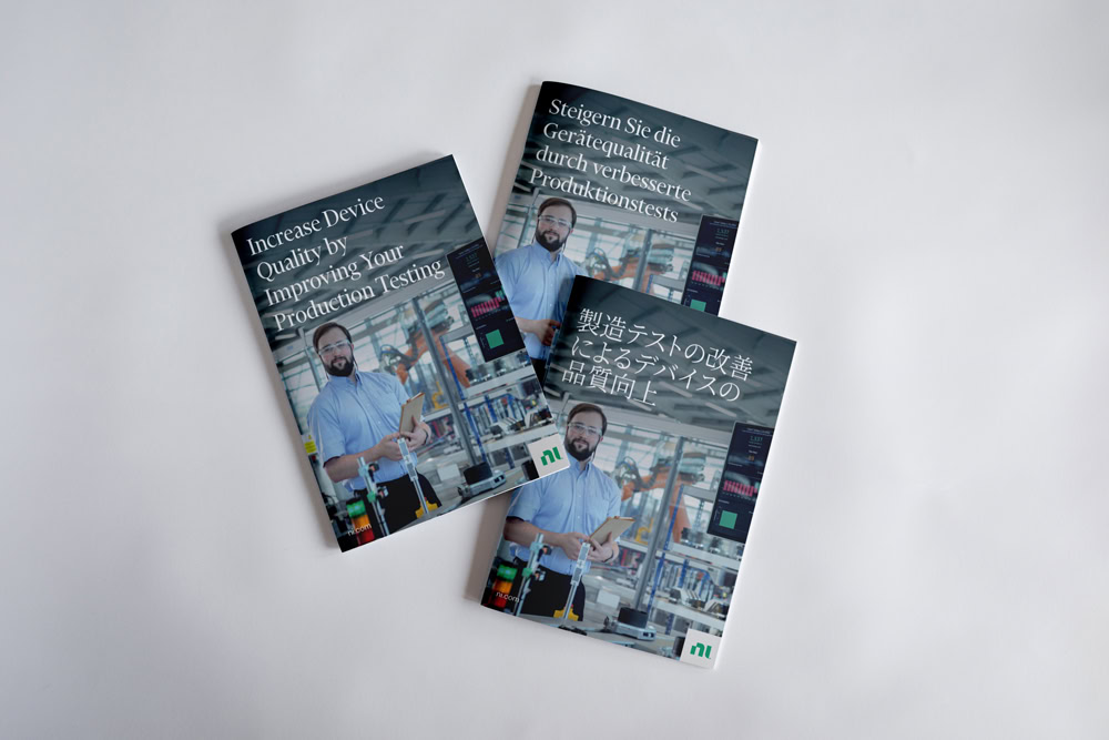 NI multilingual brochures