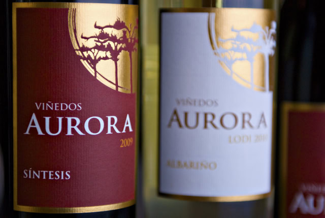 Viñedos Aurora Sintesis Wine Label. Photo by Christopher Briggs Photography.