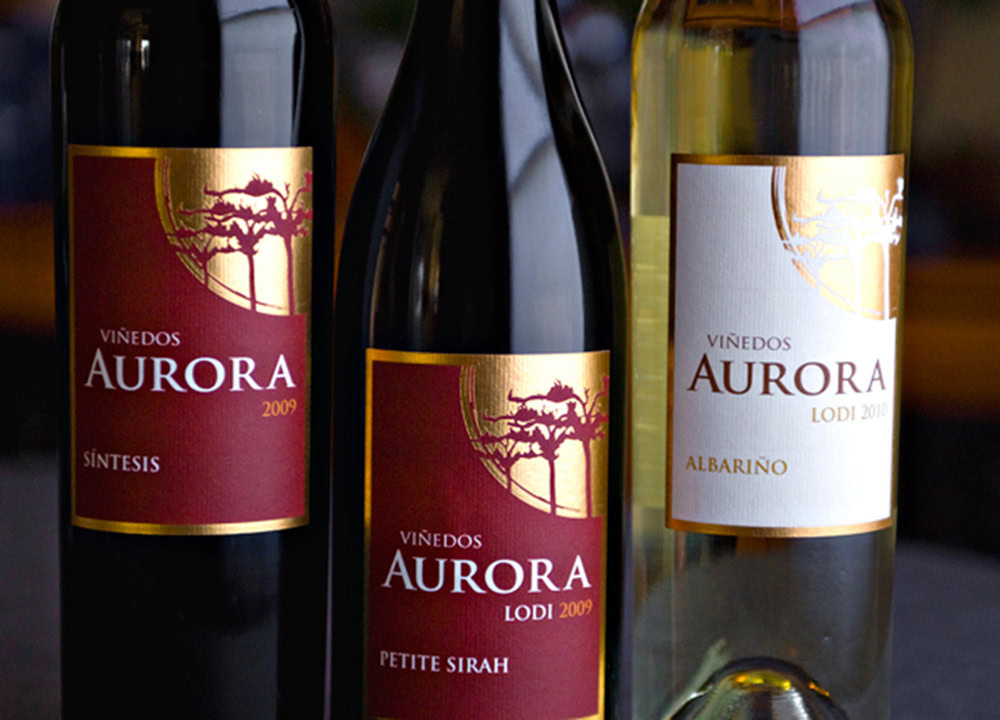 Viñedos Aurora Wine Labels. Photo by Christopher Briggs Photography.